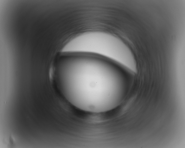 X0000099990076200805231052