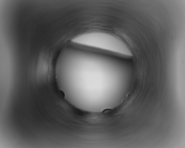 X0000099990077200805231052