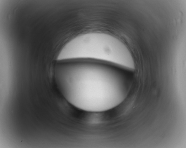 X0000099990081200805231053