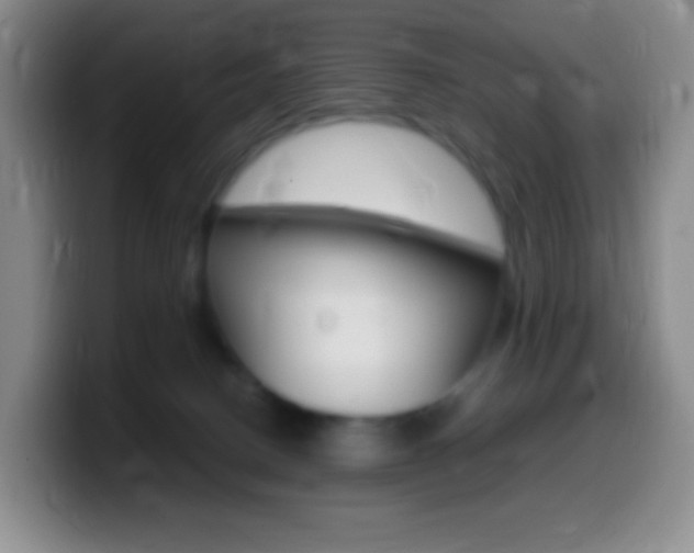 X0000099990082200805231053