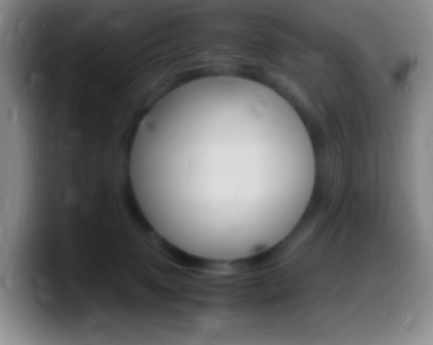 X0000099990083200805231053