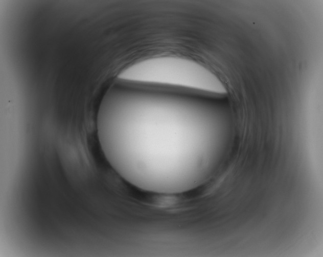 X0000099990085200805231053