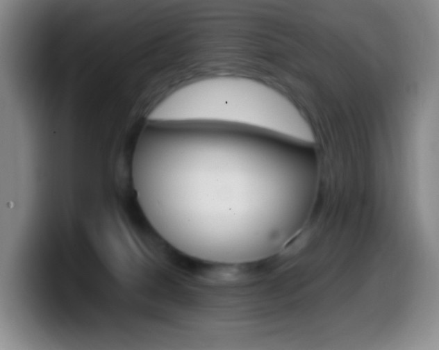 X0000099990086200805231053