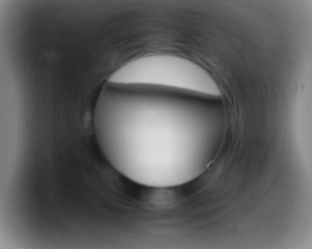 X0000099990087200805231053
