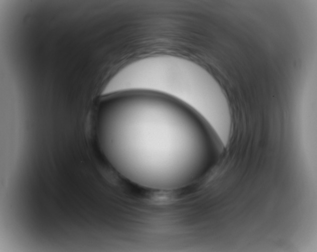 X0000099990088200805231053