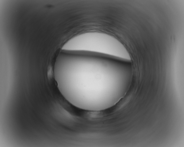 X0000099990089200805231053