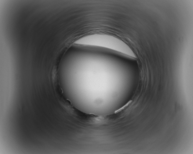 X0000099990092200805231053