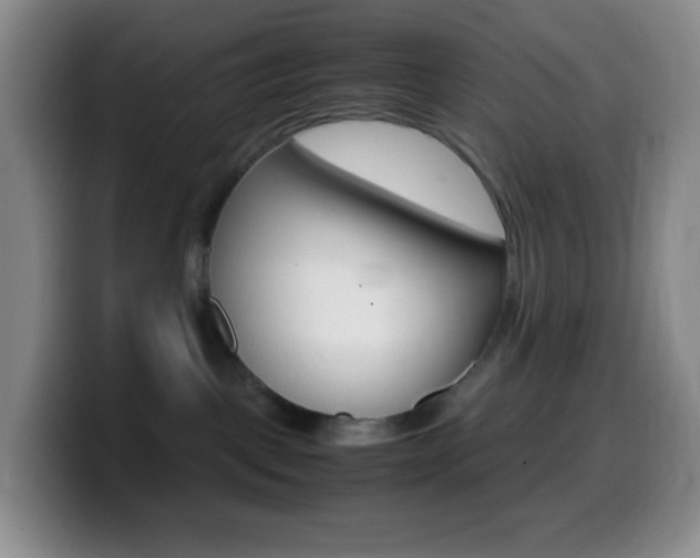 X0000099990093200805231053
