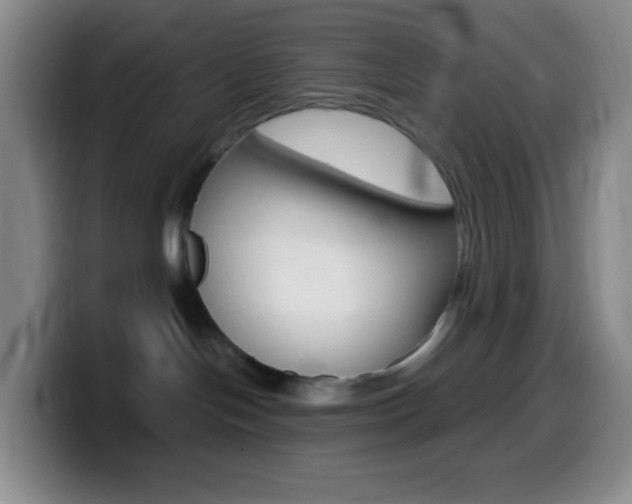 X0000099990094200805231053