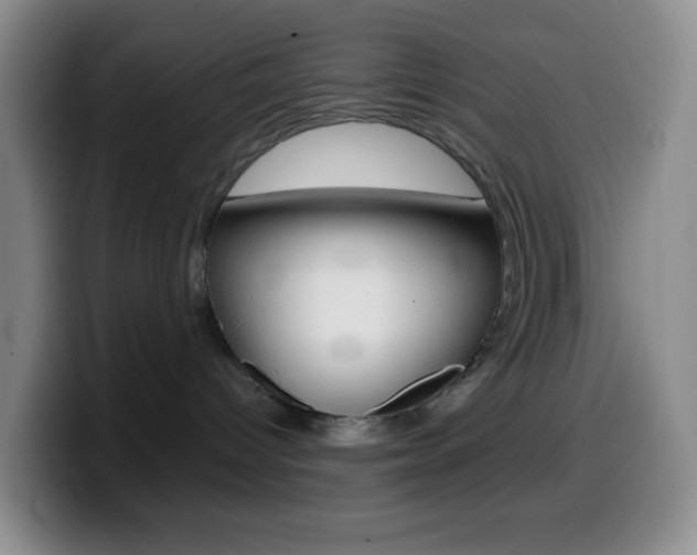 X0000099990096200805231053