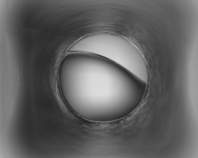 X0000099990097200805231052