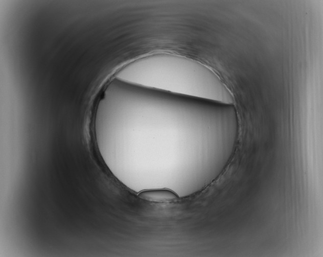 X0000099990098200805231052