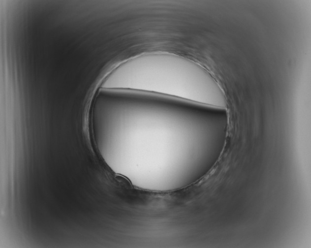 X0000099990099200805231052
