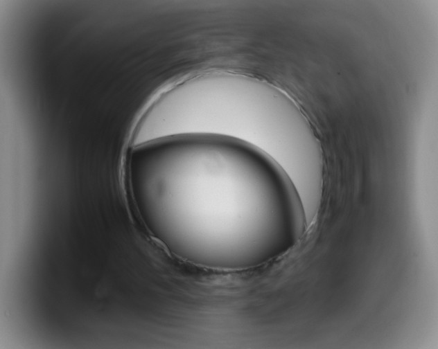 X0000099990100200805231052
