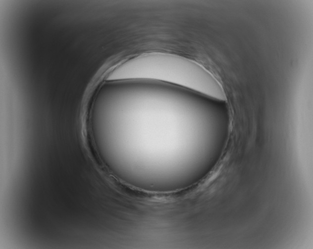 X0000099990101200805231052