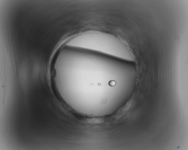 X0000099990102200805231052
