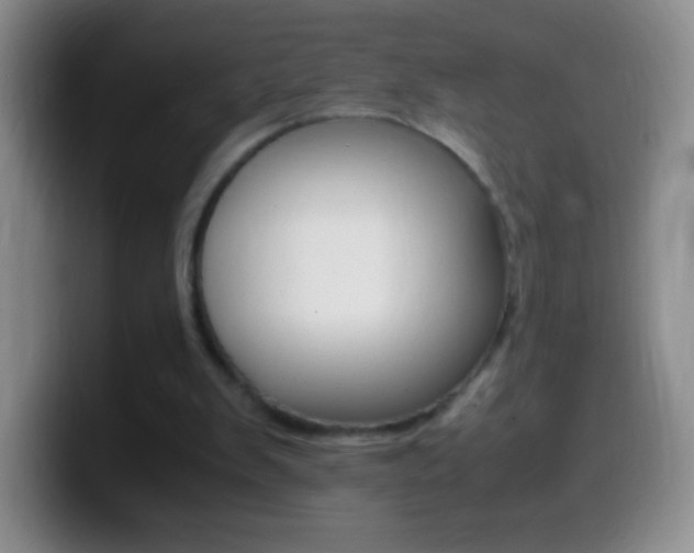 X0000099990103200805231052