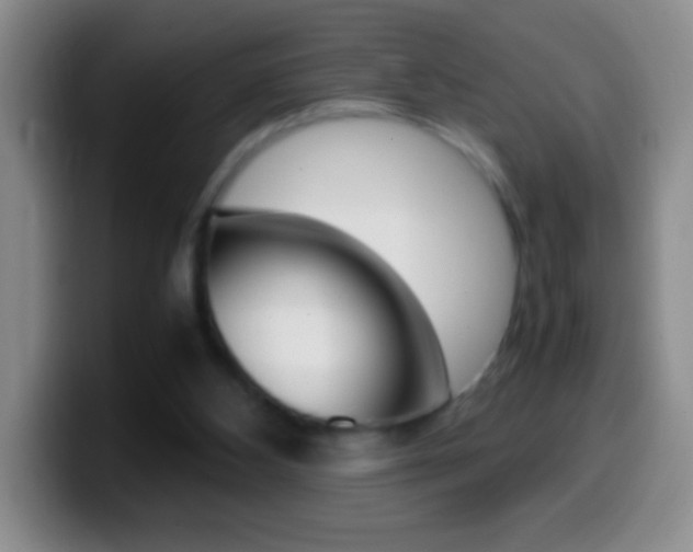 X0000099990108200805231052