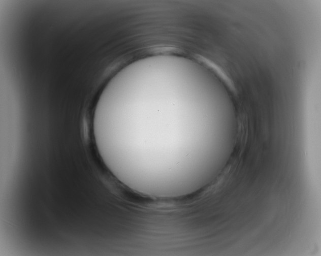 X0000099990110200805231052