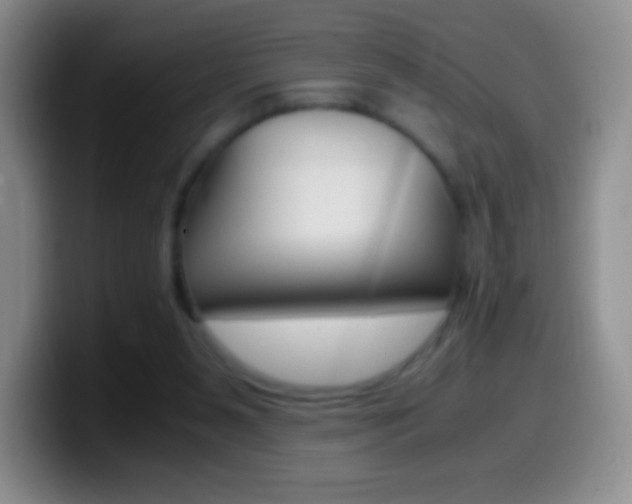 X0000099990111200805231052