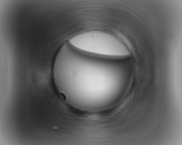 X0000099990113200805231052