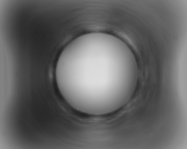 X0000099990115200805231052