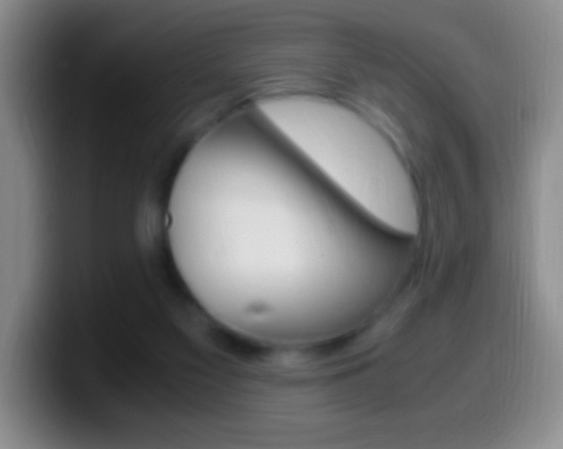 X0000099990117200805231052