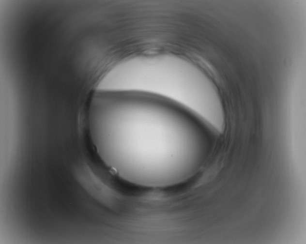X0000099990119200805231052