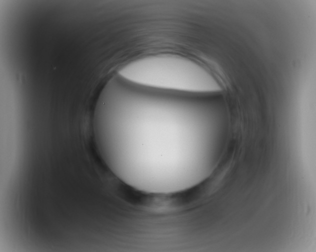 X0000099990121200805231052