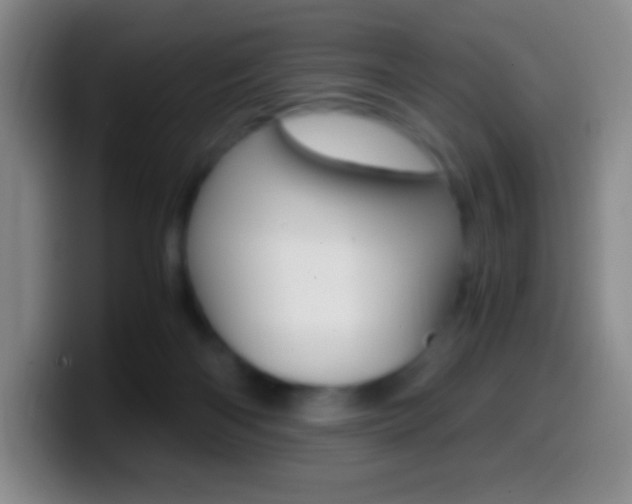 X0000099990122200805231052