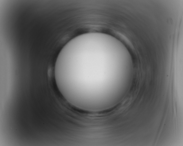 X0000099990123200805231052