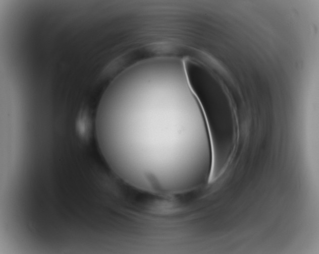 X0000099990124200805231052