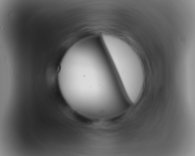 X0000099990125200805231052