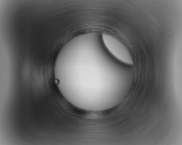 X0000099990126200805231052