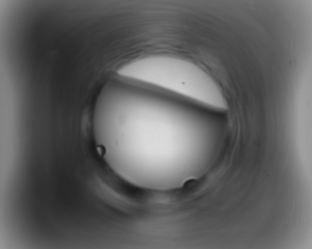 X0000099990127200805231052