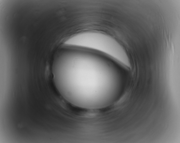 X0000099990128200805231052