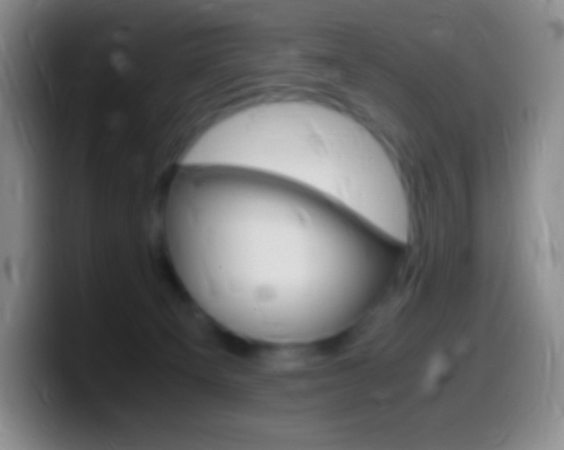 X0000099990129200805231052