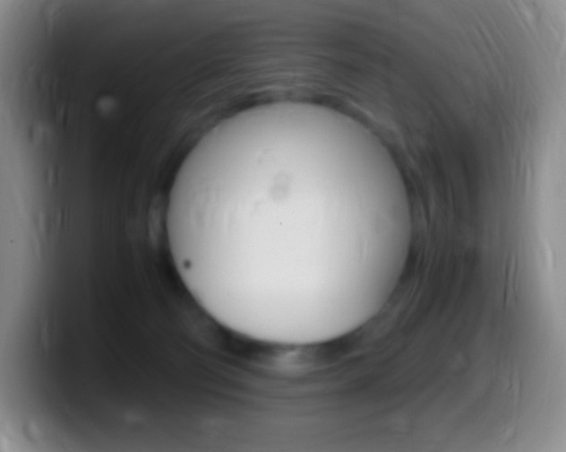 X0000099990130200805231052