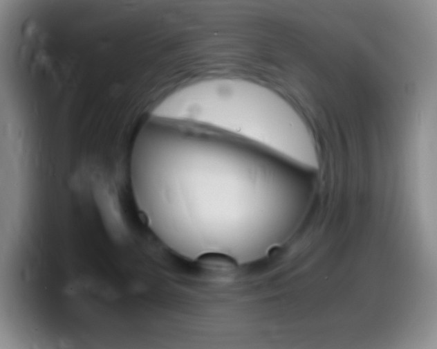 X0000099990131200805231052