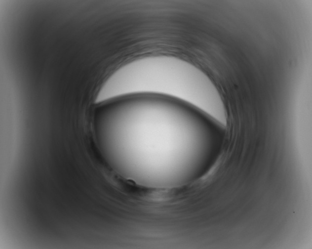 X0000099990136200805231052