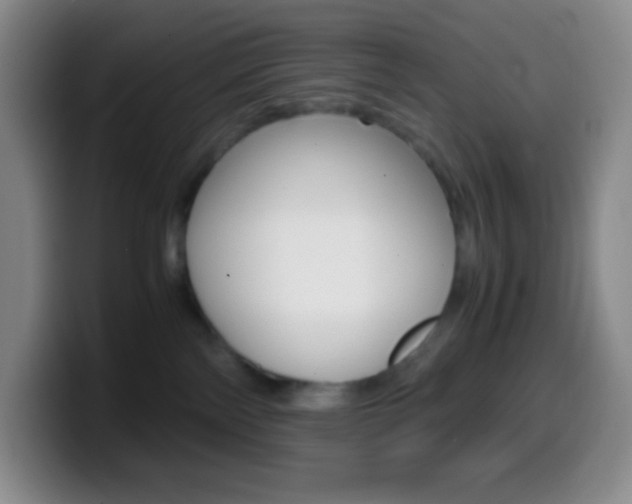 X0000099990138200805231052