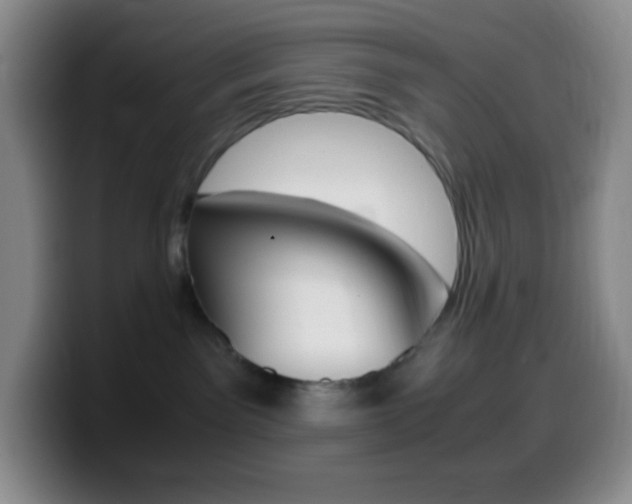 X0000099990141200805231052
