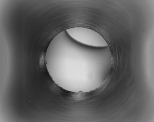 X0000099990142200805231052