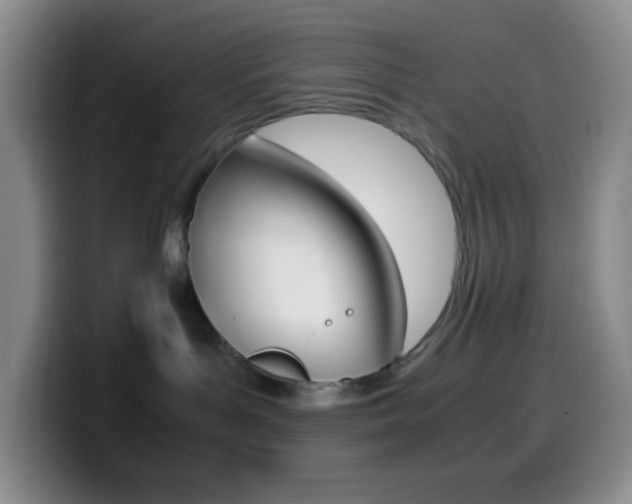 X0000099990143200805231051