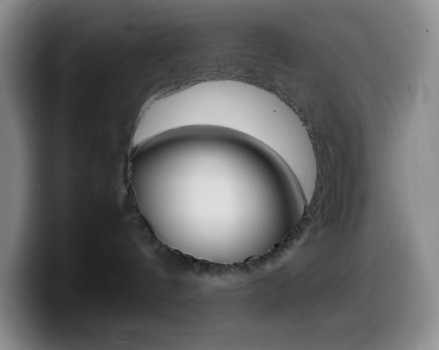 X0000099990144200805231051