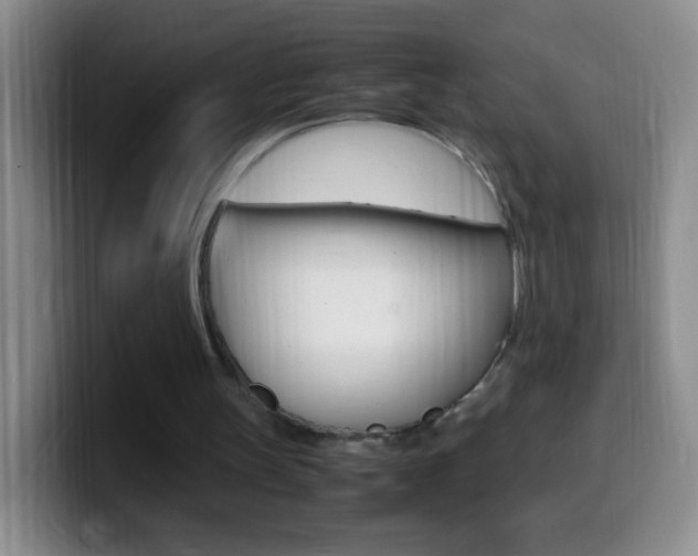 X0000099990147200805231051