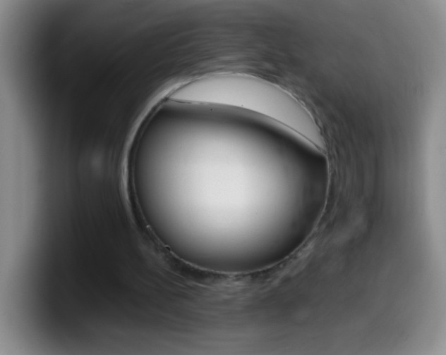 X0000099990148200805231051