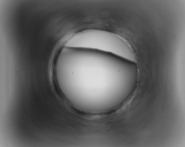 X0000099990149200805231051