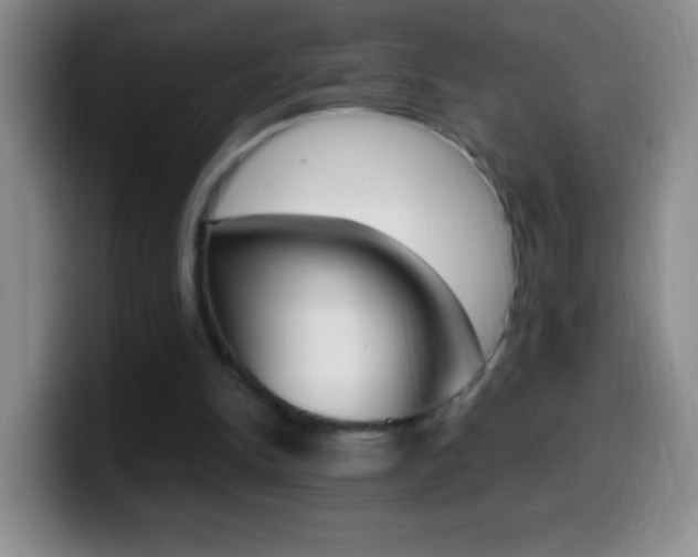 X0000099990150200805231051
