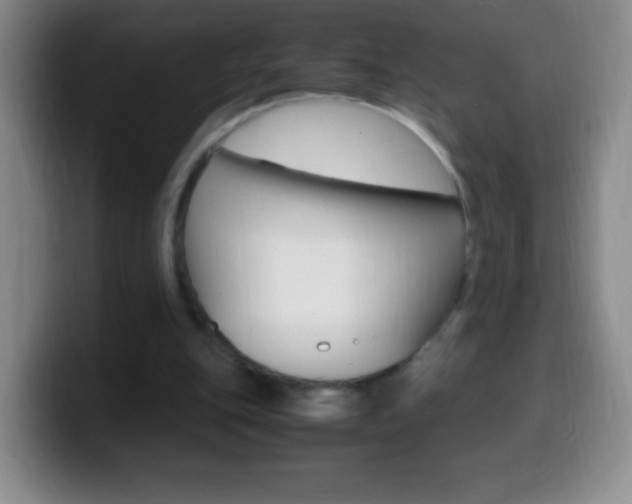 X0000099990151200805231051
